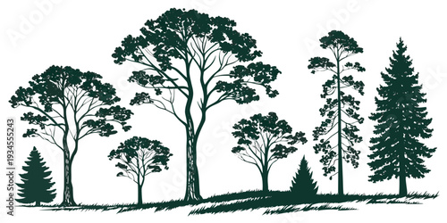 A serene landscape with a variety of trees and a gentle slope in the foreground