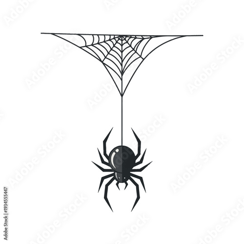 Black spider hanging from a web on a white background.
