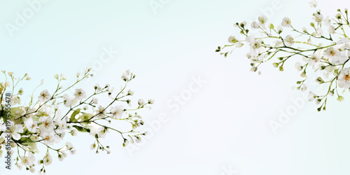 Watercolor painting delicate white spring flowers on branches, forming an elegant floral border, suggesting purity, growth, and natural beauty on a soft pastel background