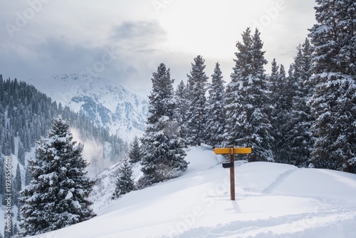 Konstfotografi A direction indicator in a snowy mountain forest in winter