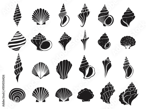 Set of hand-drawn seashell illustrations in ink, featuring minimalist line art. Perfect summer vacation design elements for trendy prints, labels, and menu covers. Tropical beach shell collection in c