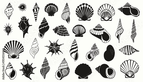 Set of hand-drawn seashell illustrations in ink, featuring minimalist line art. Perfect summer vacation design for trendy prints, labels, and menu covers. Tropical beach shell collection in clean vect