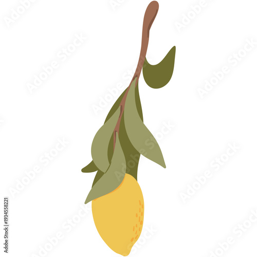 Vector illustration of a brown branch with one yellow lemon and green leaves