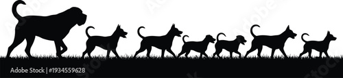 Dog evolution silhouette illustration showing large to small puppies walking in a row on grass, black vector design isolated on white background