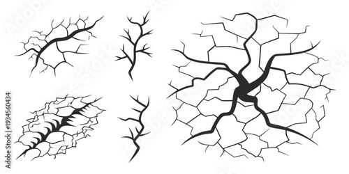 Diverse and intricate patterns of neuron cells in various shapes and structures.