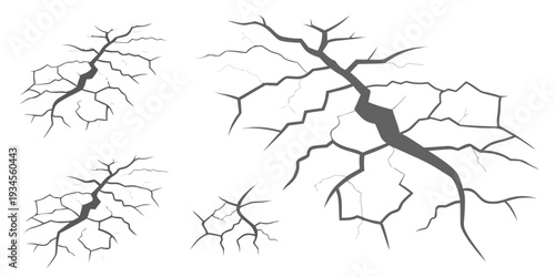 Intricate network of branching patterns in a biological structure