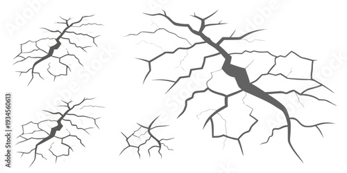 Intricate branching patterns of tree roots in a natural environment