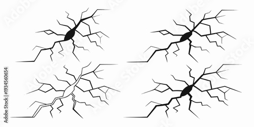 Four distinct types of neuron structures with varying dendritic branching patterns
