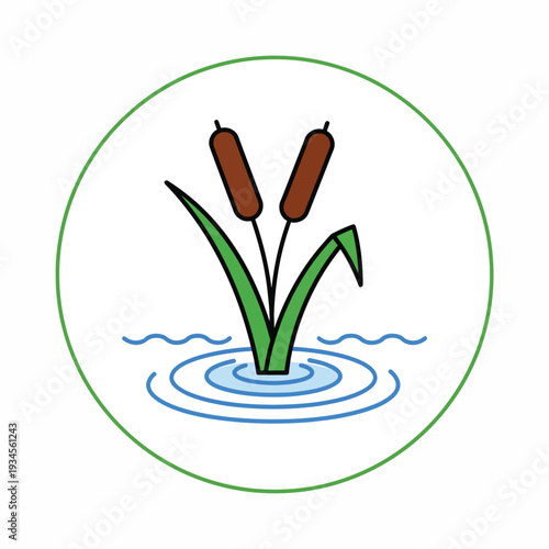 Cattail Plant Illustration with Green Leaves Water.