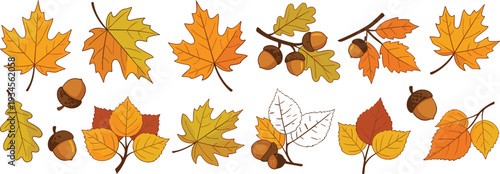 Autumn Leaves and Acorns Set with Maple Oak Birch Foliage Fall Season Botanical Elements Flat Vector Collection
