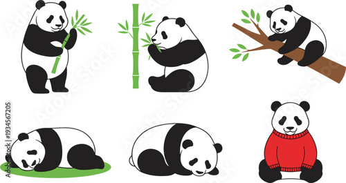 Cute Panda Cartoon Character Set with Bamboo Eating Sleeping Sitting and Adorable Animal Illustration Flat Vector Collection.