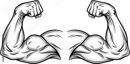 Flexed muscular arms with fists flexed arms biceps muscles