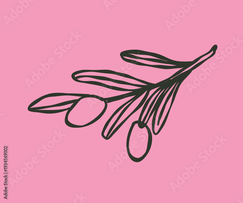 Whimsical doodle cute branch olives. Hand drawn illustration.