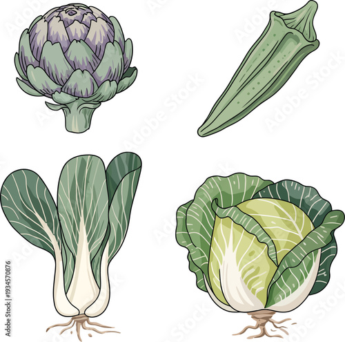 Artisan collection of unique vegetables: artichoke, okra, bok choy, and cabbage illustration.