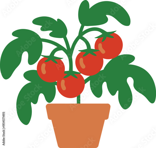 Vibrant Tomato Plant with Four Red Fruits Growing in a Terracotta Pot, Simple Flat Design Illustration