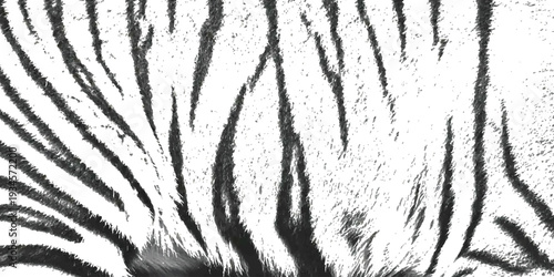 A black and white close-up captures the intricate and striking stripe pattern of a tiger's fur