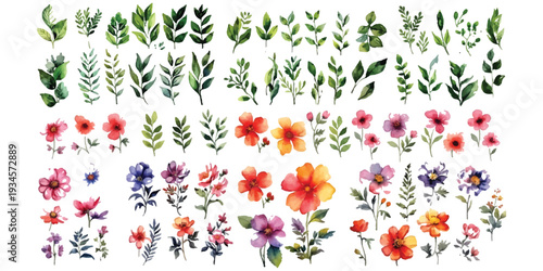 A collection of watercolor painted botanical elements featuring green leaves and colorful flowers