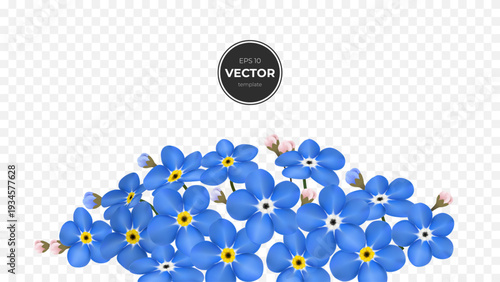 A vibrant cluster of blue forget-me-not flowers with delicate pink buds.