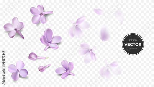 Delicate lilac flower petals floating softly in a whimsical design.