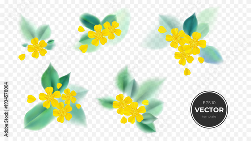 Colorful floral vector illustrations featuring bright yellow flowers and green leaves.