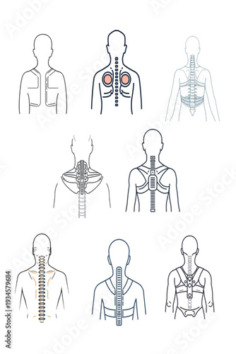 Spine Support and Back Brace Line Icon Set – Orthopedic Vertebrae Medical Outline Vector Collection. Ai generated