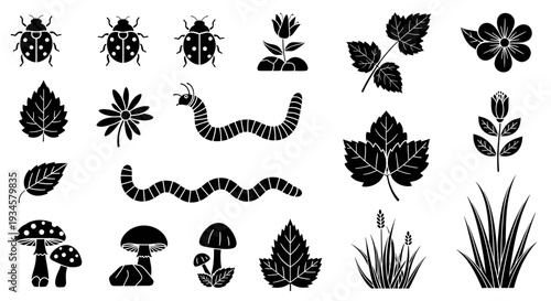 Collection of Insects, Plants and Mushrooms Silhouette for design and decoration. This graphic includes detailed designs, perfect for a variety of applications.