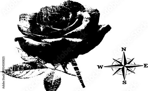 Elegant rose with navigational compass - high contrast black and white ink design