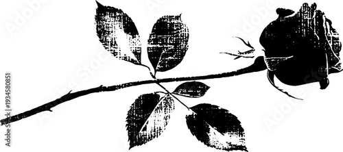 Dramatic rose and dagger high contrast black and white ink art illustration for tattoo design