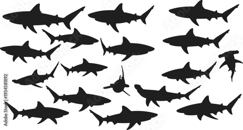 Shark silhouette vector set, various shark shapes, black ocean predator illustrations, underwater sea life, marine wildlife collection, sea animal icons