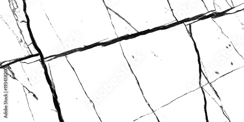 A close-up of a white marble texture featuring bold black veins and fine cracks