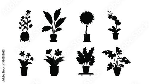 Collection of houseplant silhouettes in decorative pots for botanical themed graphics, interior decor visuals, and modern vector design.