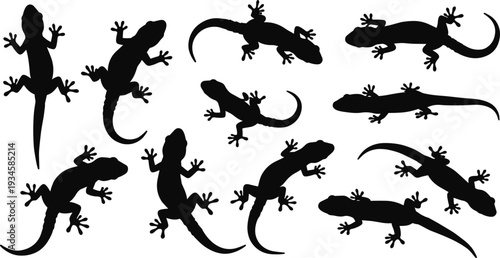 Silhouette collection of geckos and lizards in crawling poses, isolated reptile vector icons for wildlife, nature, jungle, or tropical design