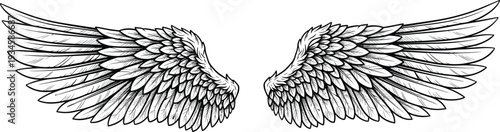 Detailed black and white symmetrical wings illustration with layered feathers, fantasy artwork, tattoo design concept, freedom symbol, spirituality icon, and protective artistic imagery