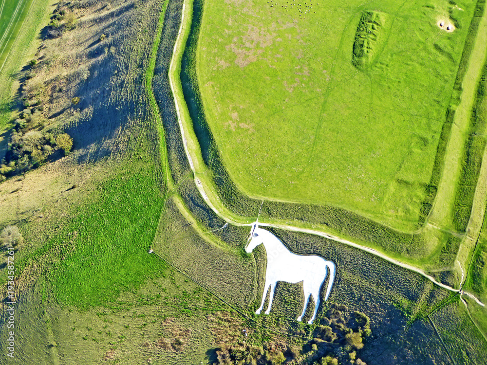 Obraz premium Aerial view of Bratton Camp iron age fort and Westbury white horse in Wiltshire 