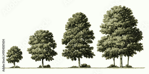 Four diverse trees with lush foliage and blossoms, isolated on a clean white background.