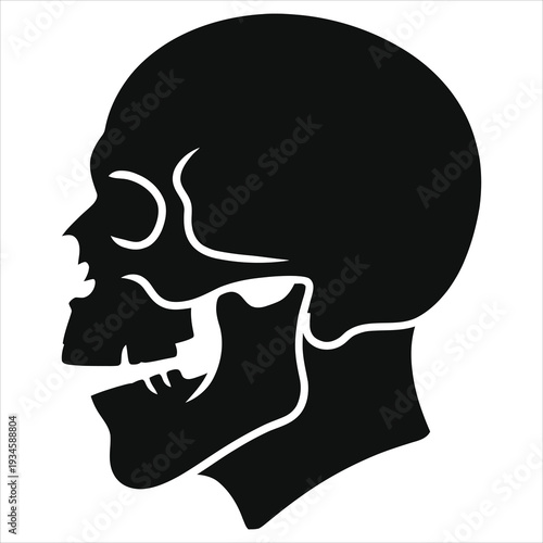 Black Silhouette of a Human Skull Side View, Horror Style Zombie Head Profile Icon, Minimalist Vector Graphic Illustration for Halloween Design and Apparel