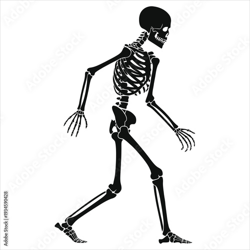 Walking skeleton silhouette vector illustration. Spooky human anatomy for Halloween horror design. Creepy scary death symbol, black icon isolated on white background. Minimalist graphic.