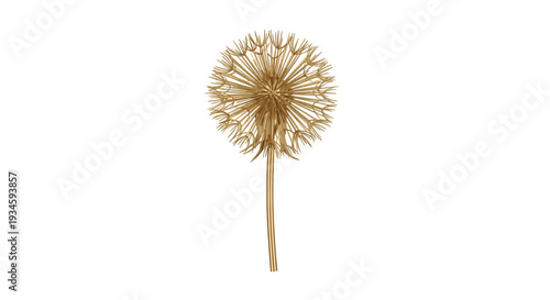 A single golden dandelion-like spherical object with radiating spiky filaments stands on a slender stem against a clean white background.