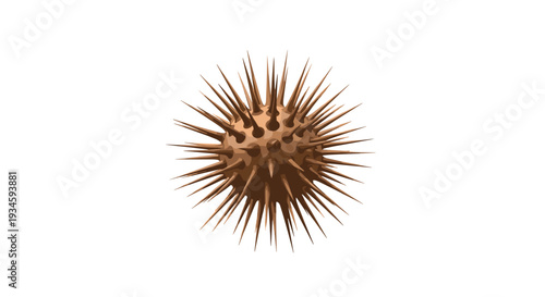 A brown three-dimensional spherical object covered in numerous irregularly shaped sharp spikes casts a soft shadow on a white background.