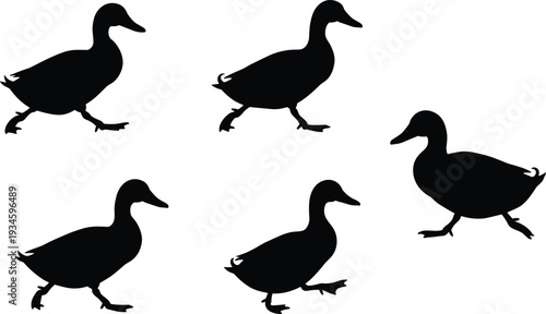 Silhouette ducks walking, black bird shapes, animal wildlife illustration, duck movement design, nature concept, farm animal art, minimalist vector style
