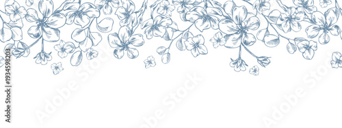 Blooming apple tree branches with lovely forget-me-nots and eucalyptus branches. A hand-drawn graphic illustration in line art style with ink. A seamless border pattern for spring holiday, wedding.