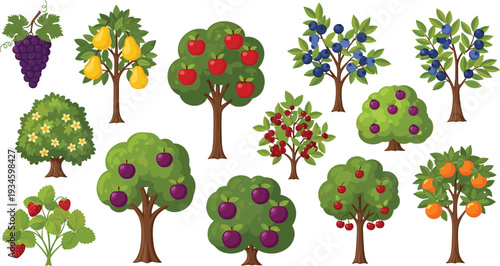 Fruit Trees Collection Cartoon Vector Illustration Set with Apple Orange Pear Plum Cherry and Berry Plants