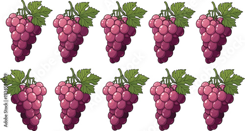 Fresh Purple Grapes Bunch Collection with Green Leaves and Juicy Vineyard Fruit Vector Illustration Set