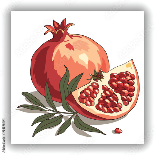 A close-up, studio-style shot features a ripe pomegranate fruit, the main subject, set against a stark white background. The pomegranate is a vibrant red hue with subtle gradients of pink and orange, 