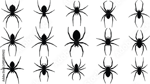 Spider silhouettes vector set, collection of black spider icons isolated on white background, Halloween insect design for print or web.