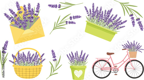 Lavender Flowers in Pots Basket Envelope and Bicycle Romantic Floral Cartoon Vector Illustration Set