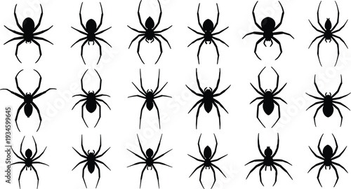 Spider silhouettes vector set, collection of black spider icons isolated on white background, Halloween insect design for print or web.