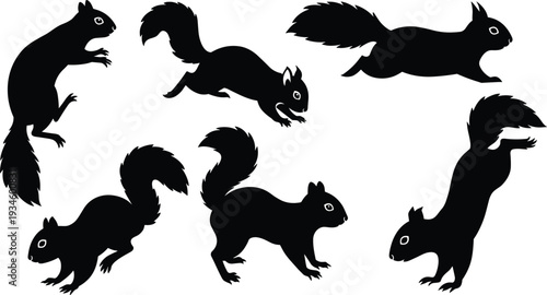 Silhouette squirrels collection, wildlife animal poses, jumping running standing crouching, black vector illustration, forest nature design, isolated shapes, bushy tails