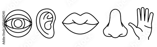 Human five senses line icon set featuring eye, ear, lips, nose, and hand symbols for sight, hearing, taste, smell, and touch sensory perception concepts.