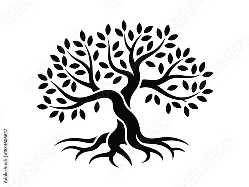 Stylized silhouette of ancient olive tree features thick trunk and widespread.